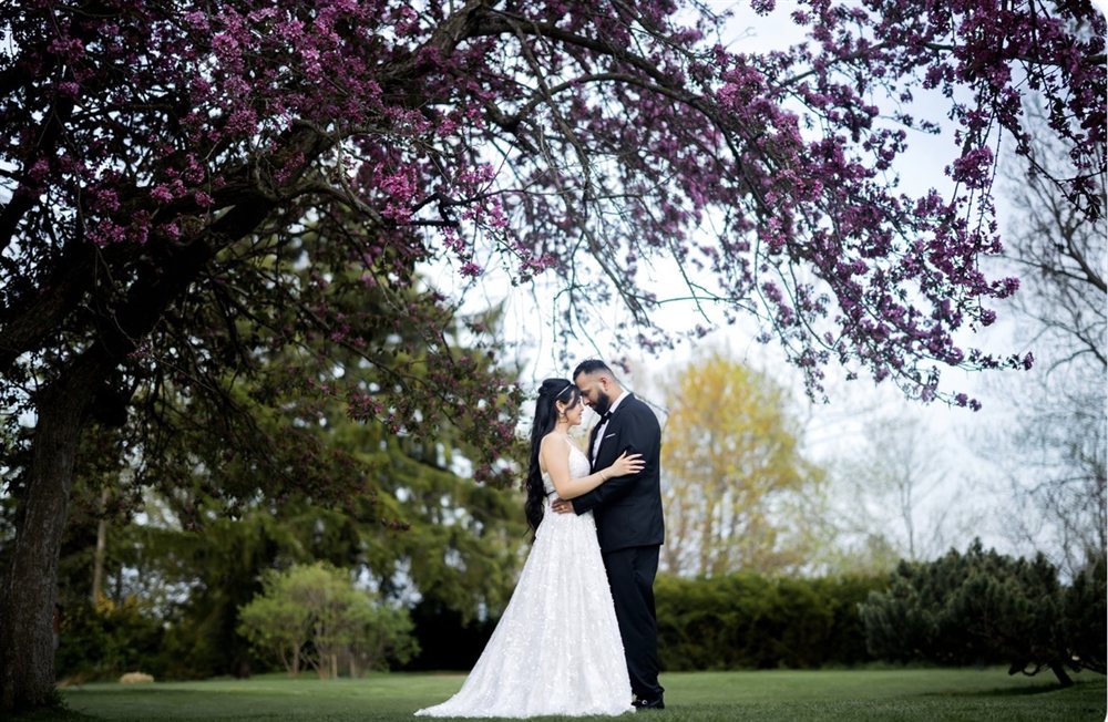 Wedding Photography & Videography photo 5