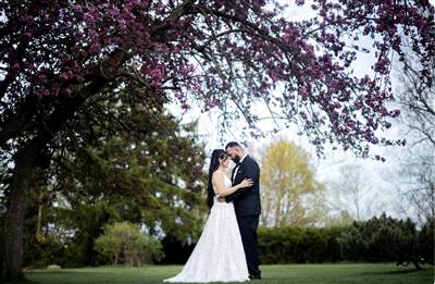 Wedding Photography & Videography photo 1